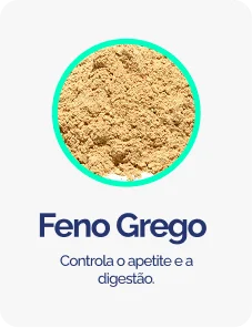 Feno-Grego-1.png